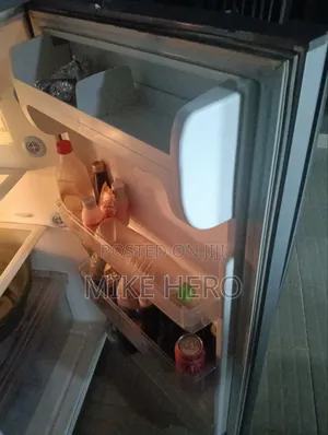 Standing Fridge