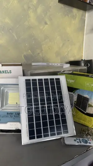 Solar Light With Panel (Flood Light)