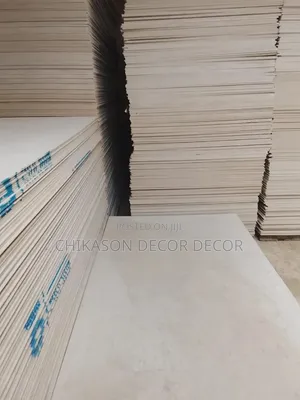 Gypsum and Suspended Ceiling