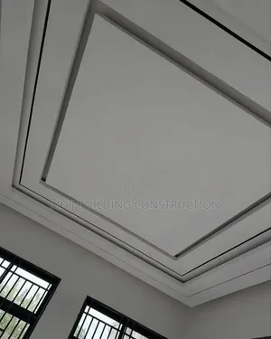 Pop Ceiling With Profile Light