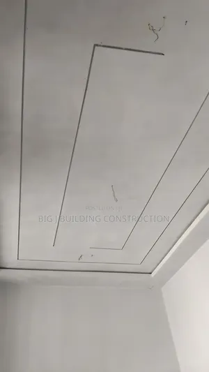 Pop Ceiling With Profile Light
