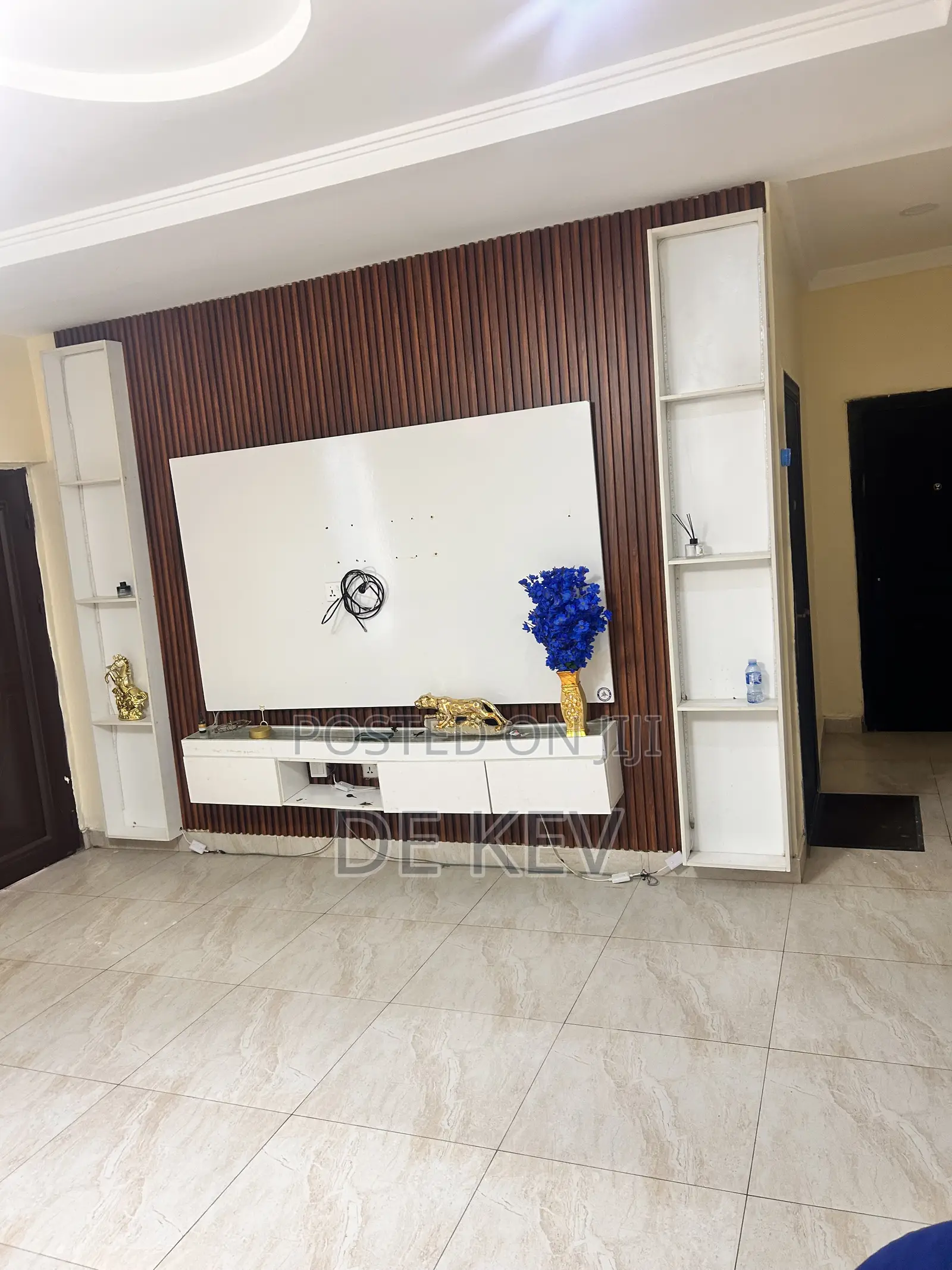 Television Console