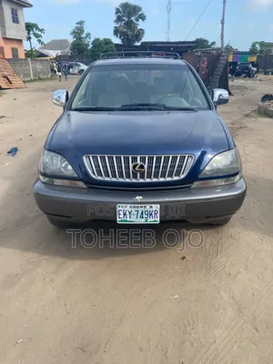 Lexus RX 2002 Gray