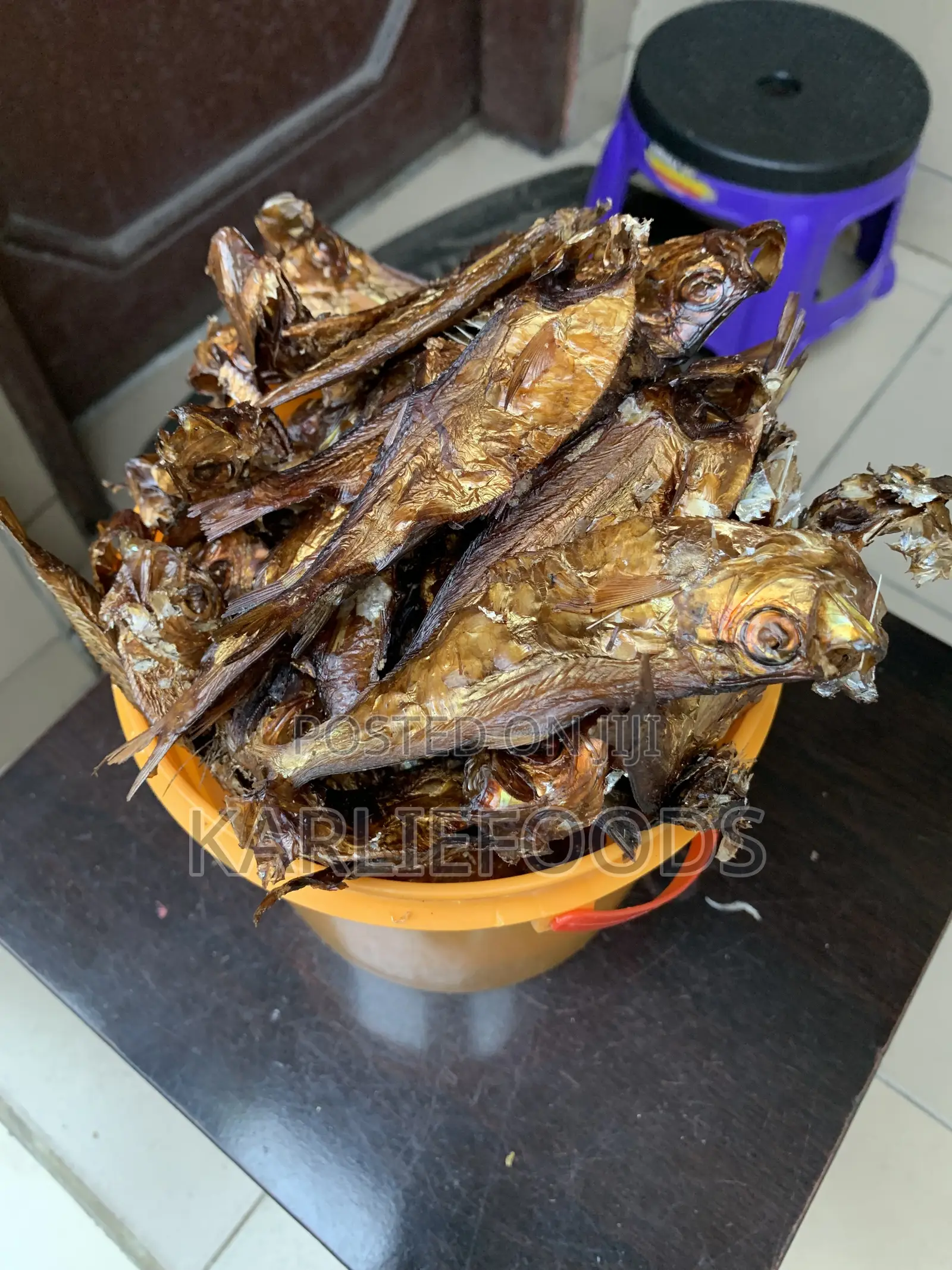 Paint Bala Fish