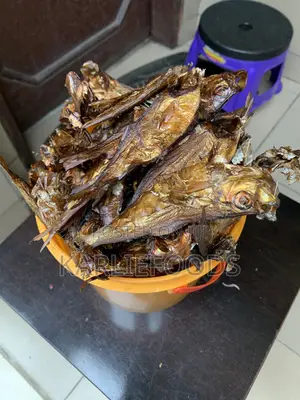 Paint Bala Fish