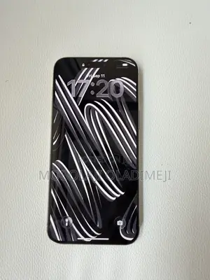 Apple iPhone 15 Pro Max 256 GB Silver