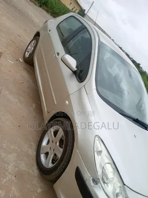 Peugeot 307 2007 Silver