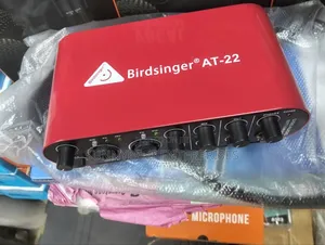Bridsinger Professional USB Audio Interface at-22