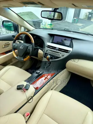 Lexus RX 350 2010 Gray
