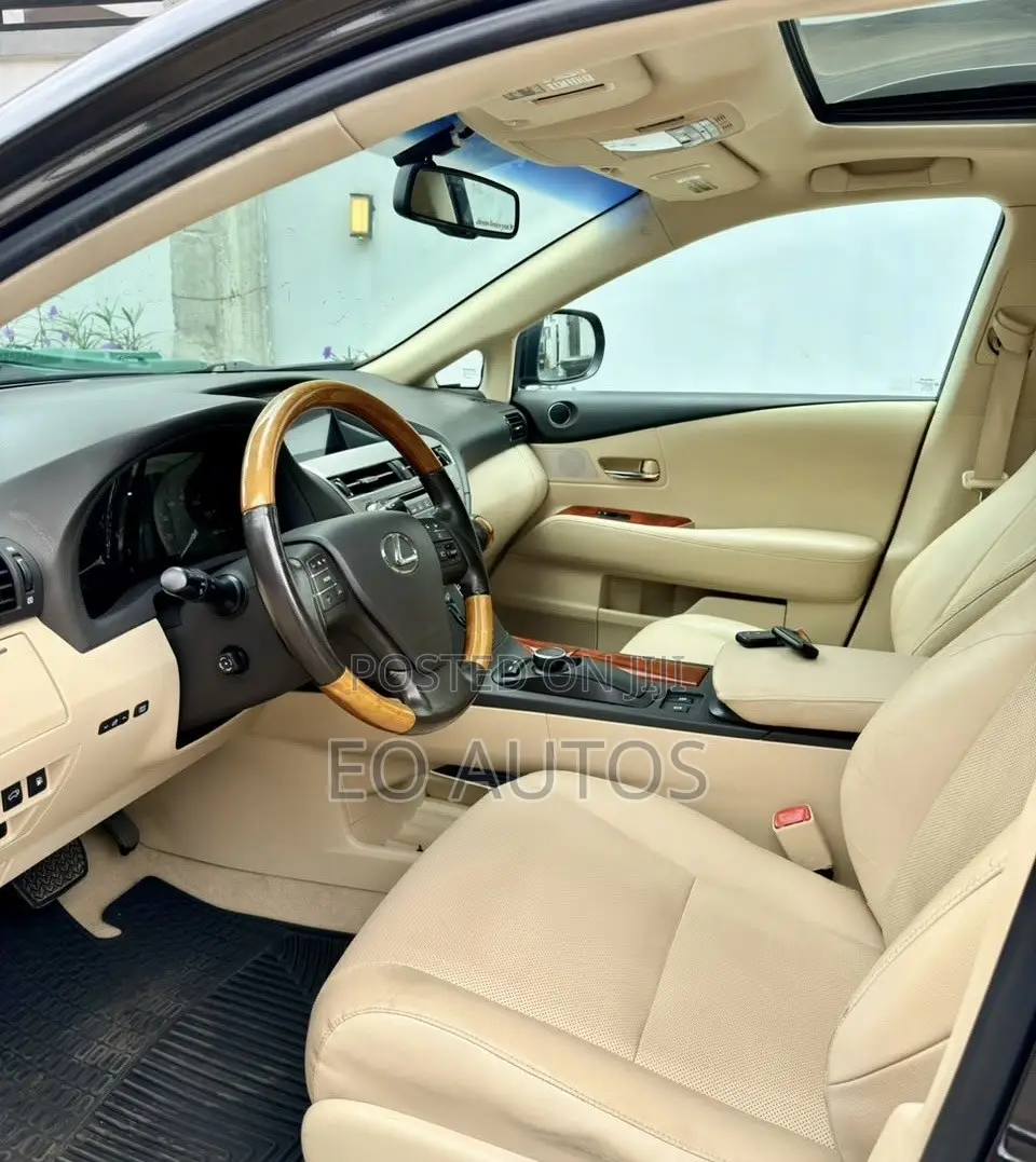 Lexus RX 350 2010 Gray