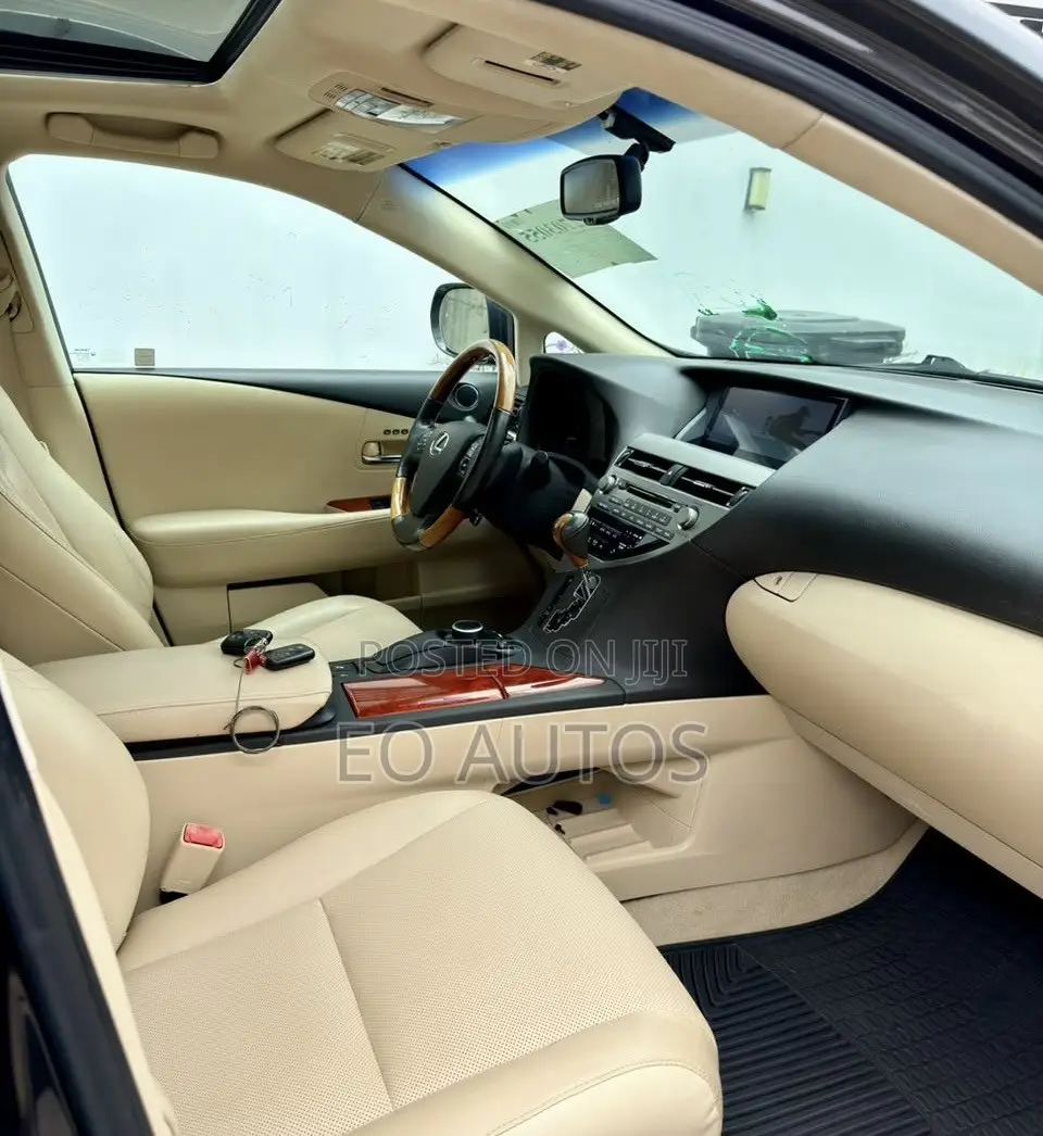 Lexus RX 350 2010 Gray