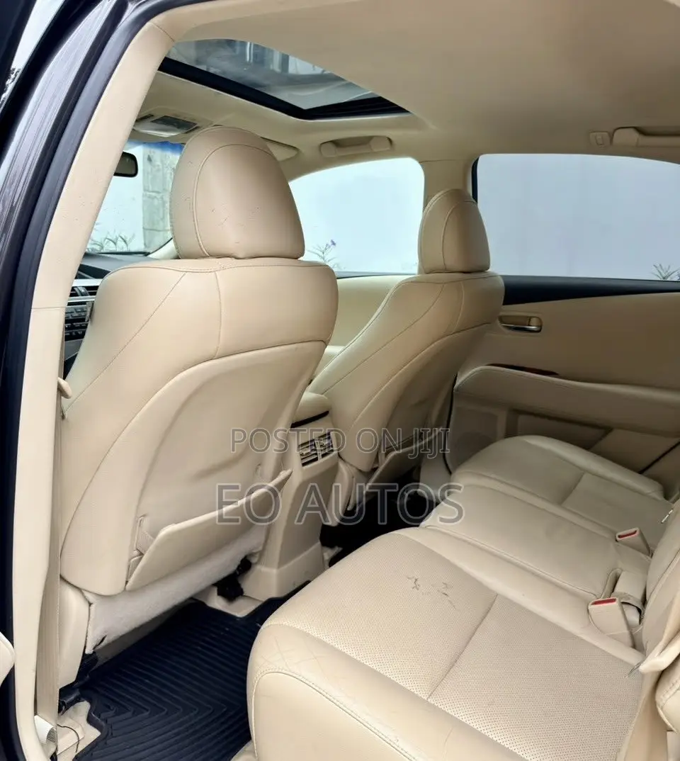 Lexus RX 350 2010 Gray