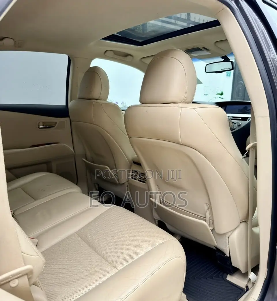 Lexus RX 350 2010 Gray