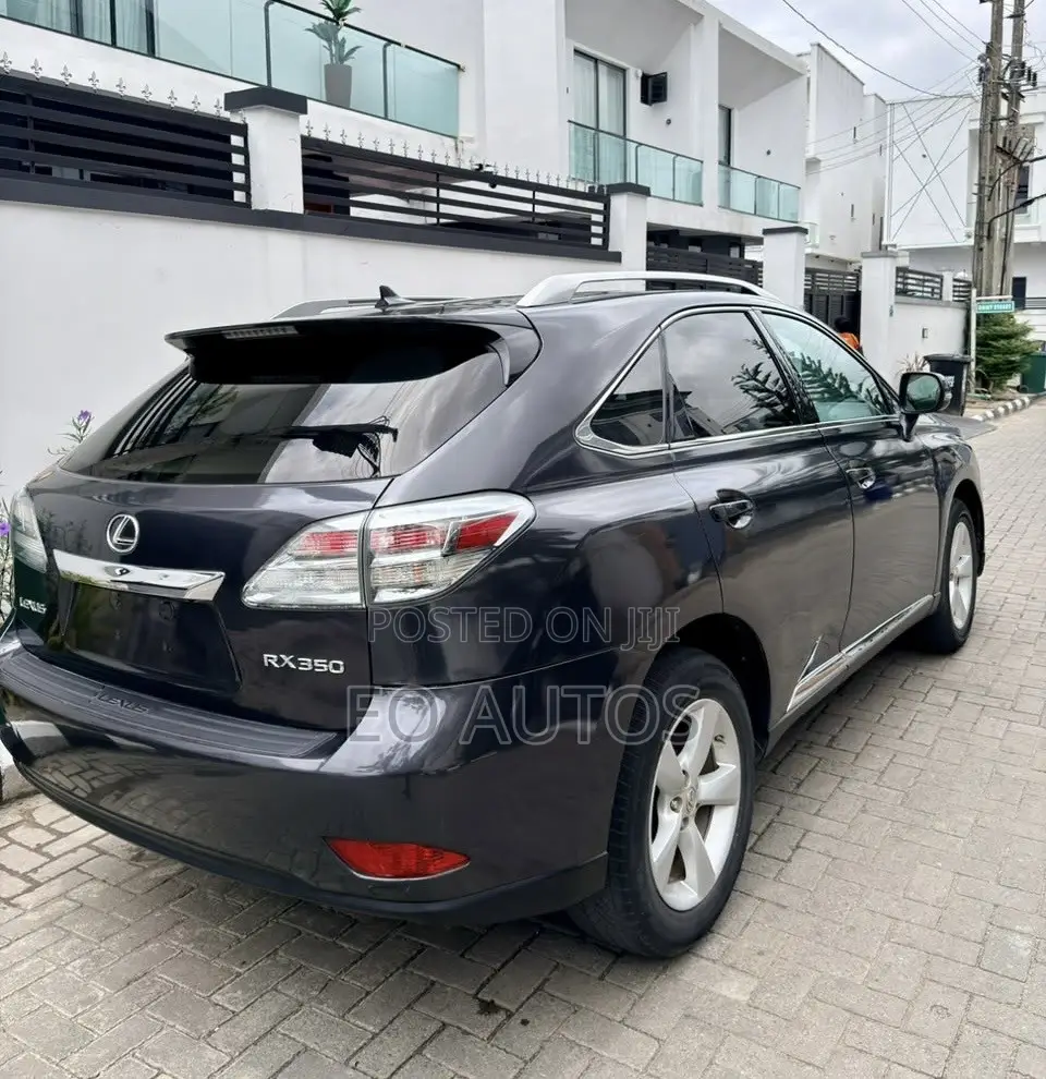 Lexus RX 350 2010 Gray
