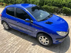 Peugeot 206 2004 Blue