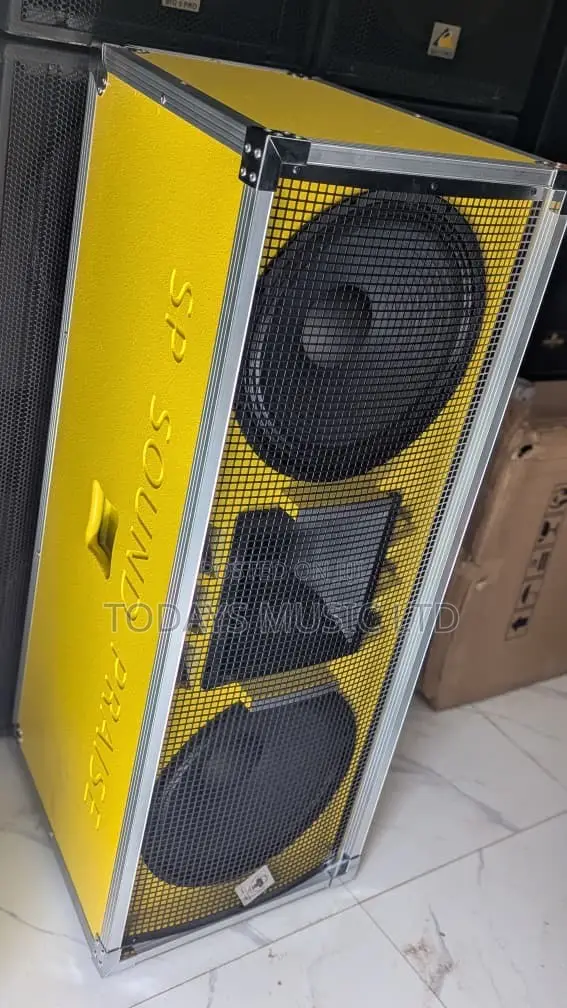 Sound Praise SP-216 Full Range Speaker