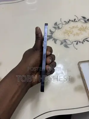 Apple iPhone 13 Pro Max 128 GB Blue