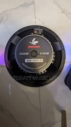 High Sound 15” Naked Speaker HS-19075