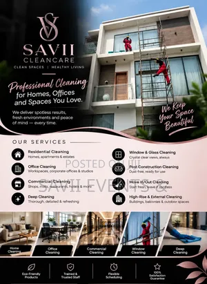 Professional Cleaning Home Maintenance
