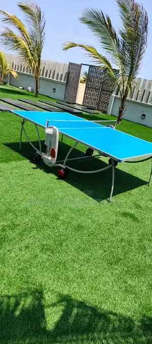 Pure Aluminum Pro Lite American Fitness Table Tennis