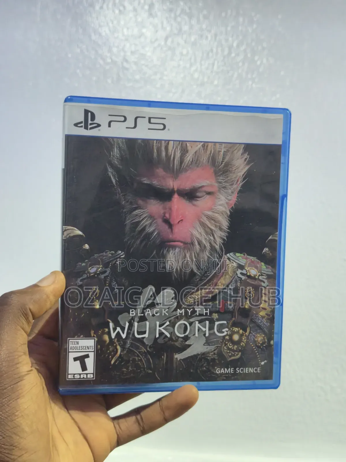 Black Myth Wukong