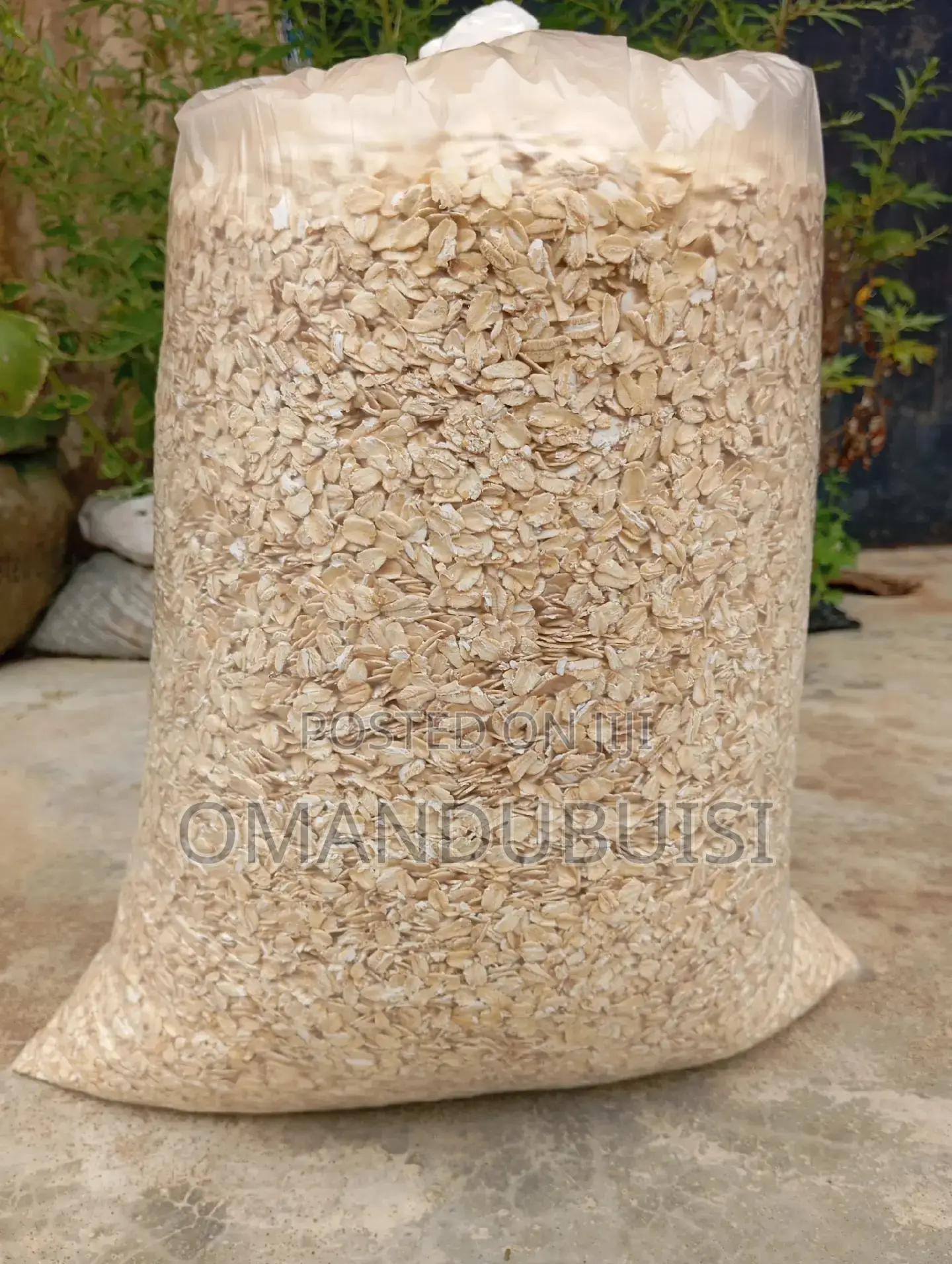 Rolled Oat