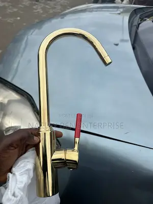 Gold Long Kitchen Mixer Tap