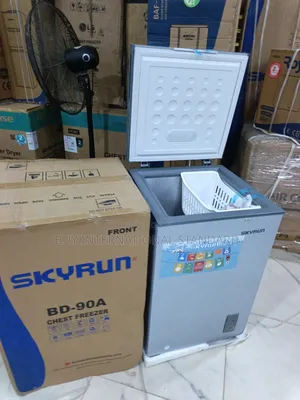 BD-90A Skyrun 90L Chest Freezing Equipment