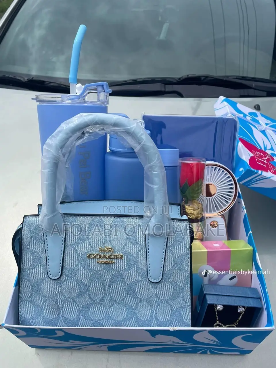 Girly Aesthetics, Bags Accessories