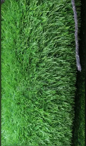Artificial Carpet
