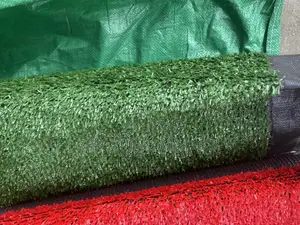 Artificial Carpet