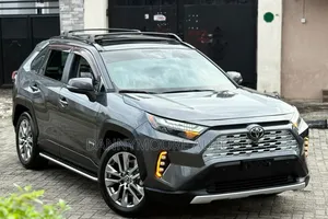 Toyota RAV4 Limited AWD 2020 Gray