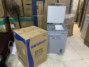 Skyrun BD-90A 90L Chest Freezer