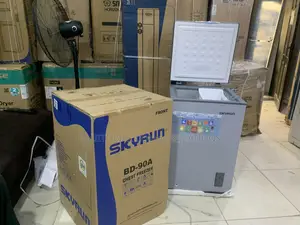 Skyrun 90L Freezer for Home Use