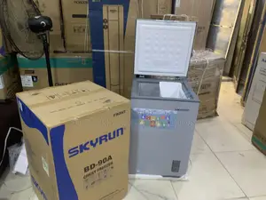 Skyrun 90L Deep Freezer for Business