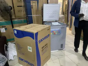 Skyrun BD-90A 90L Cold Storage Freezer
