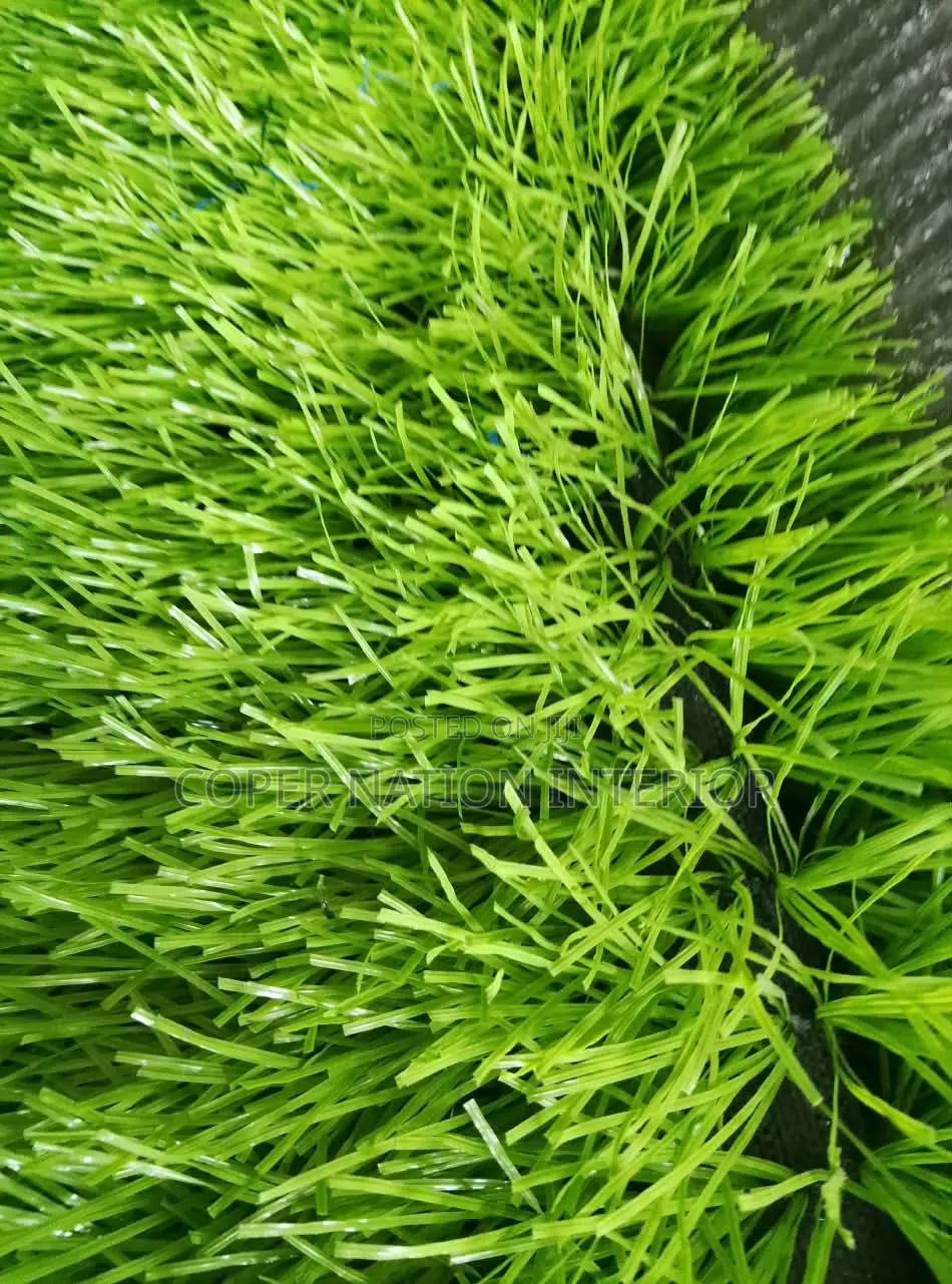 Artificial Grass 30 Mm. Available in Different Colors.