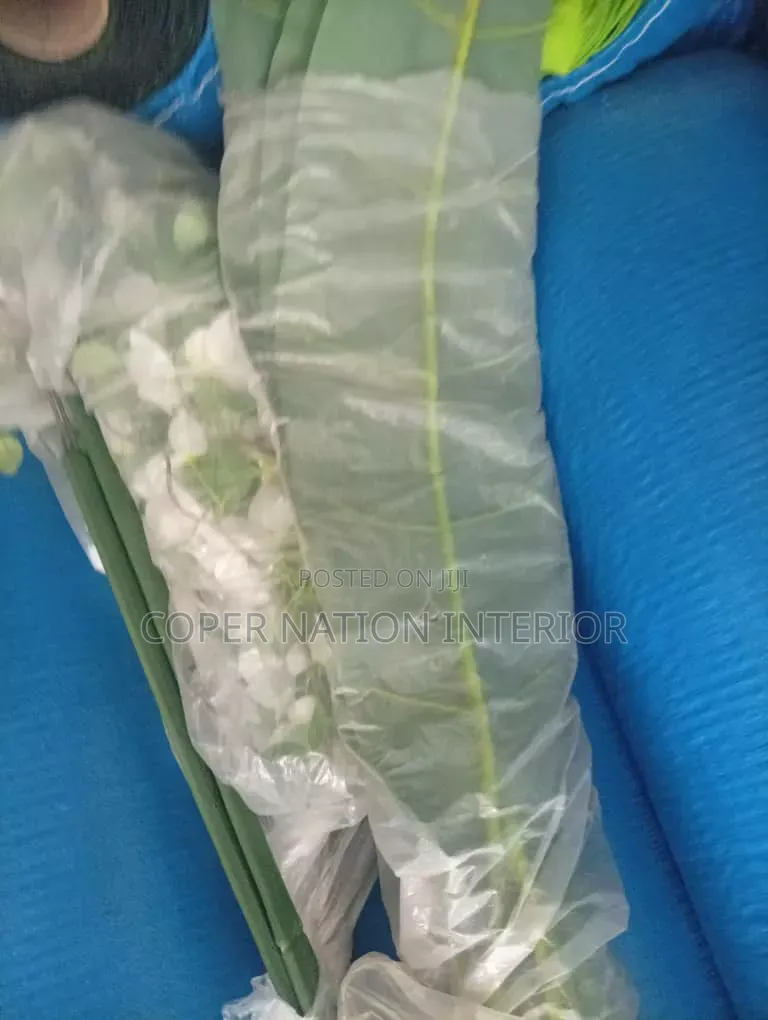 Artificial Grass 50 Mm. Available in Bundles.