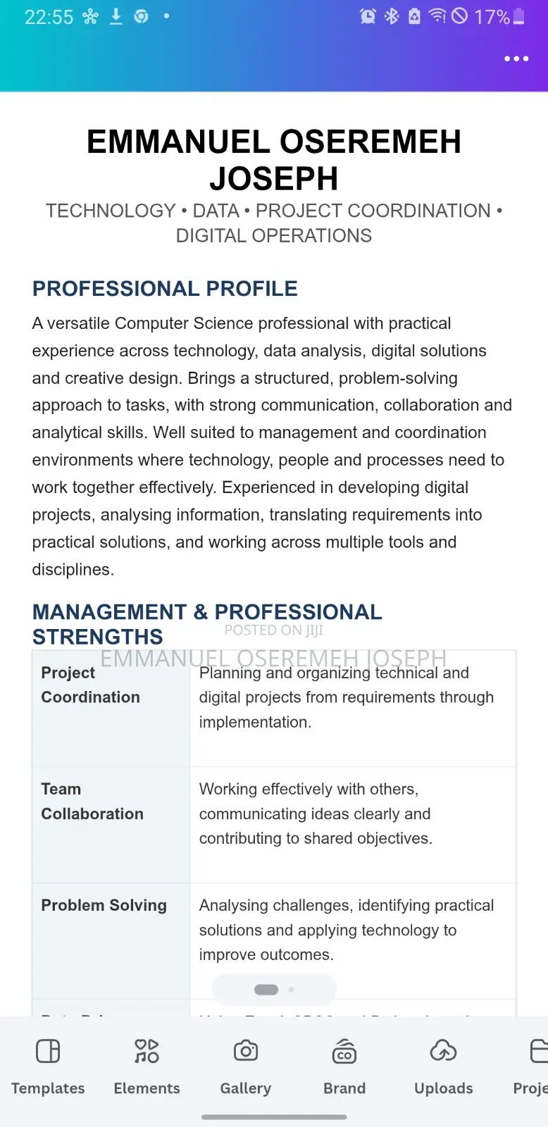 My Professional Profile