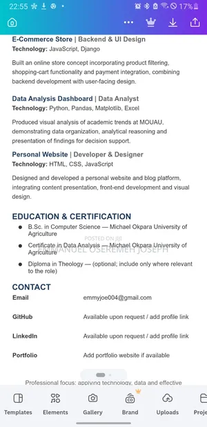My Professional Profile