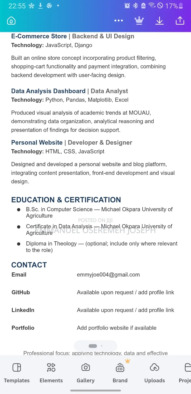 My Professional Profile