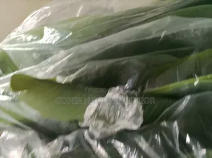 Artificial Plant Available in Bulk. Original Artificial Plant 100%