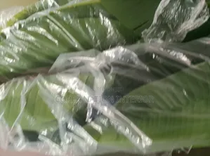 Artificial Plant Available in Bulk. Original Artificial Plant 100%