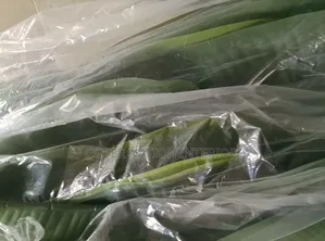 Artificial Plant Available in Bulk. Original Artificial Plant 100%