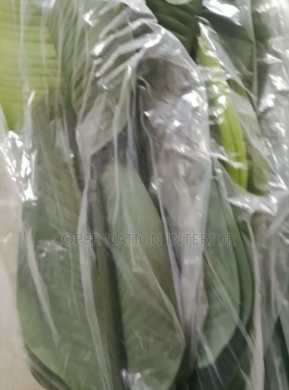 Artificial Plant Available in Bulk. Original Artificial Plant 100%
