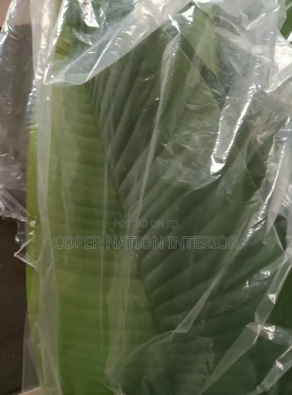 Artificial Plant Available in Bulk. Original Artificial Plant 100%