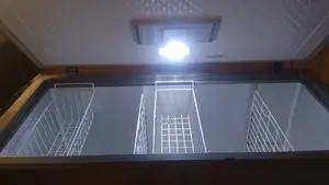 LG 452Litres Freezer