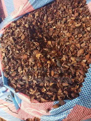 Dealing in Agricultural Produce Like, Cocoa Beans, Cashew Nuts.