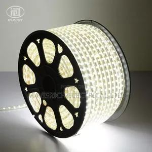 LED Warm White Rope Light
