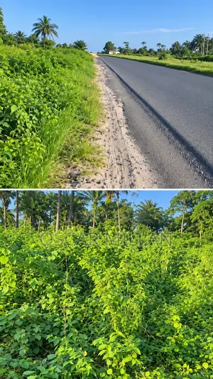 3plots of of Land for Sale